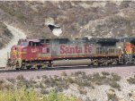 Warbonnet Leader on Home Rails